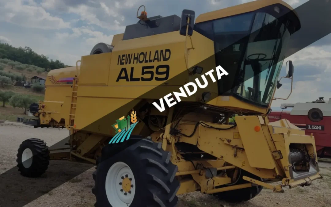 Mietitrebbia Usata New Holland AL 59 Collina Plus (012)