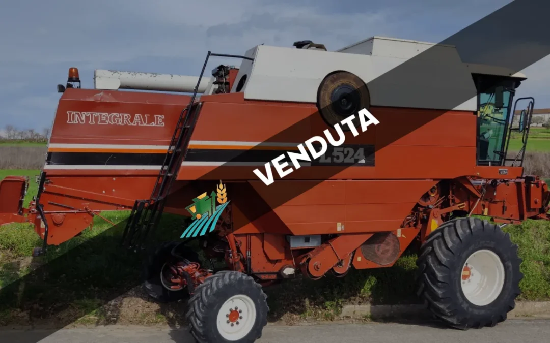 Mietitrebbia Usata Fiat-Fiatagri Laverda L 524 integrale (013)