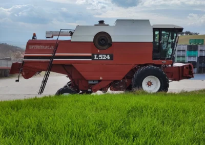 Mietitrebbia Usata Fiat-Fiatagri Laverda L 524 integrale (013)